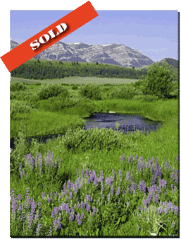 Centennial-Valley_Alaska-Basin_sold