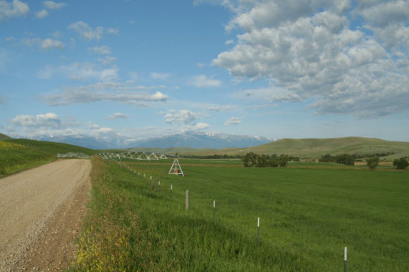 Bozeman-Trail-Ranch-on-Red-Lodge-Creek-5