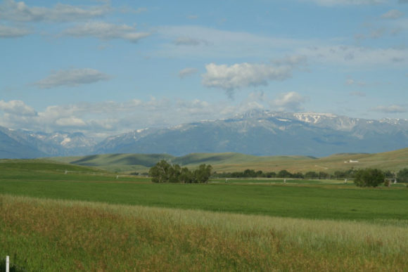 Bozeman-Trail-Ranch-on-Red-Lodge-Creek-9